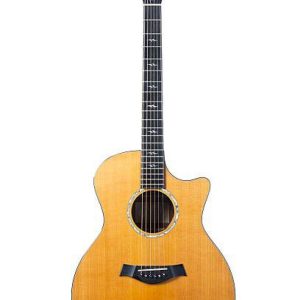 FastBridge 1500 Dimond Series Acoustic Guitar