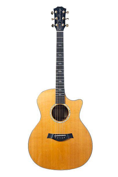 FastBridge 1500 Dimond Series Acoustic Guitar