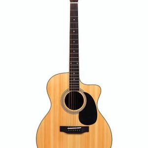 FastBridge RG 7500 Signature Acoustic