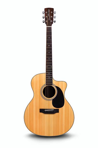 FastBridge RG 7500 Signature Acoustic