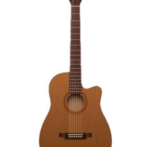 Kingston Coffee Shop Crown Acoustic Guitar